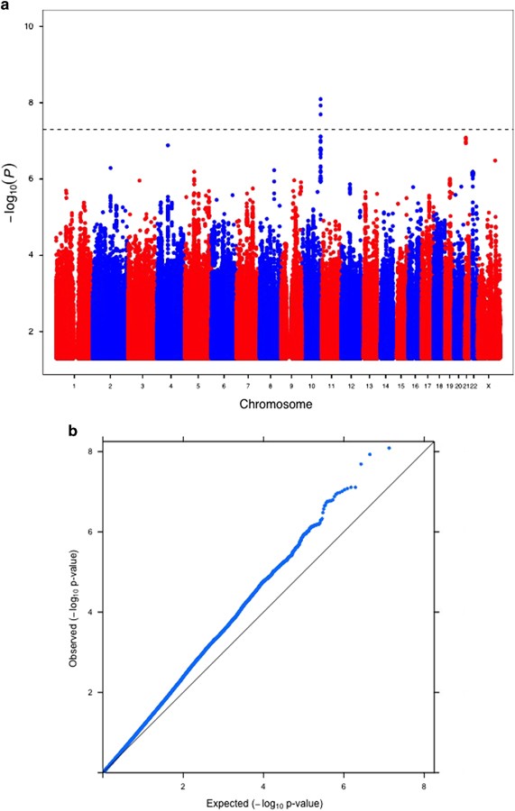 A genome-wide association study for extremely high intelligence | Molecular  Psychiatry