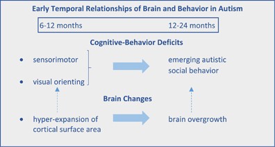 Excess Brain Fluid May Forecast Autism >> Toward A Conceptual Framework For Early Brain And Behavior Excess Brain Fluid May Forecast Autism >> Toward A Conceptual Framework For Early Brain And Behavior