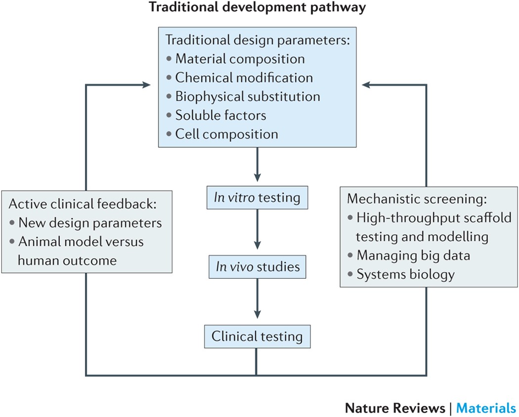 Design, clinical translation and immunological response of biomaterials in  regenerative medicine | Nature Reviews Materials