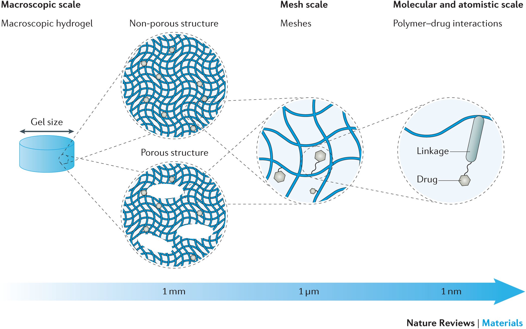 hydrogels for drug delivery | Nature Reviews Materials