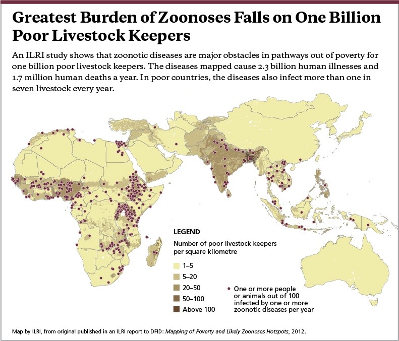 Cost of human-animal disease greatest for world's poor | Nature
