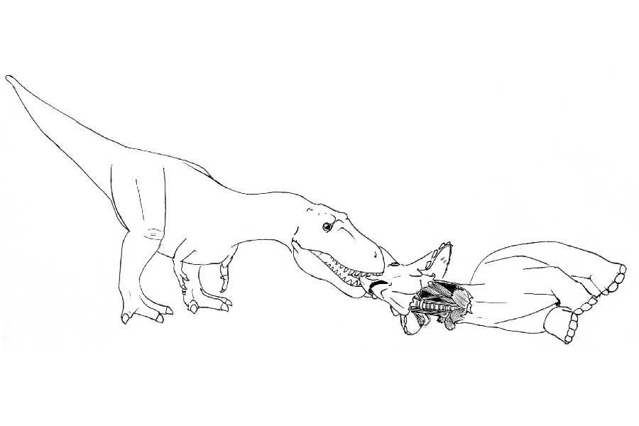 How to Draw Dinosaur: Tyrannosaurus Rex and Triceratops 