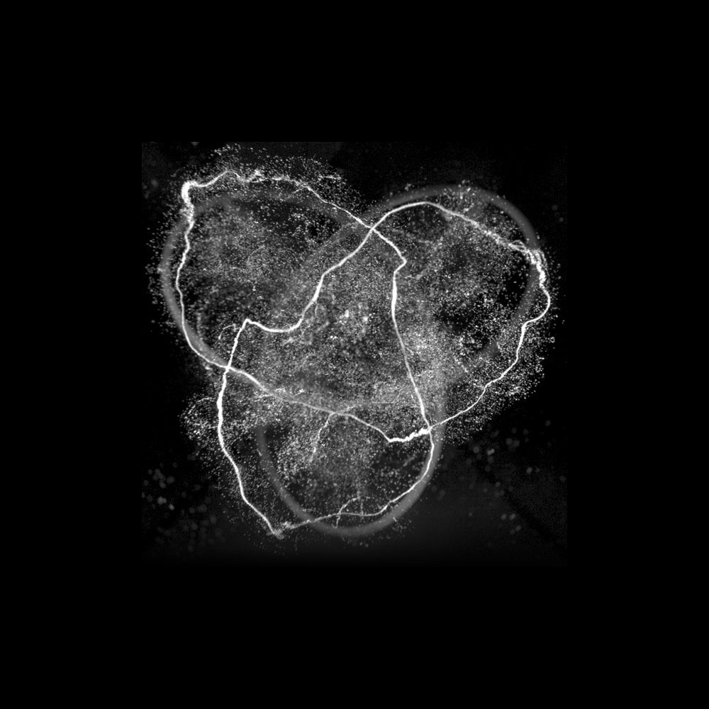 Physicists twist water into knots | Nature