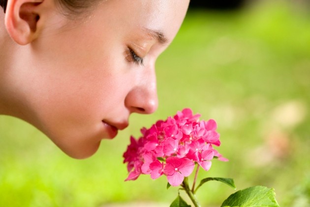 Human nose can detect 1 trillion odours | Nature