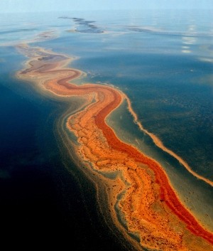 BP agrees to pay US$18.7 billion to settle Deepwater Horizon oil-spill  claims | Nature
