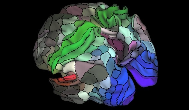human brain mapping sci journal human brain mapping sci journal