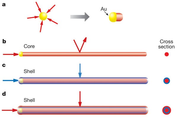 Epitaxial Core Shell And Core Multishell Nanowire Heterostructures Nature