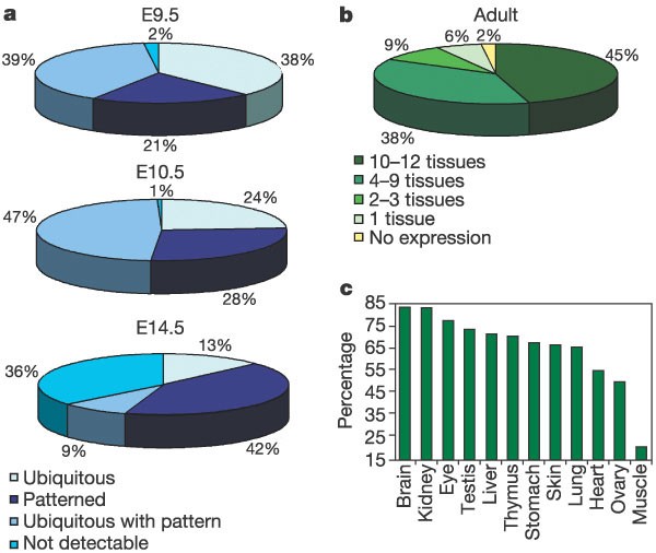Figure 1: Distribution of expression patterns and transcriptome complexity.