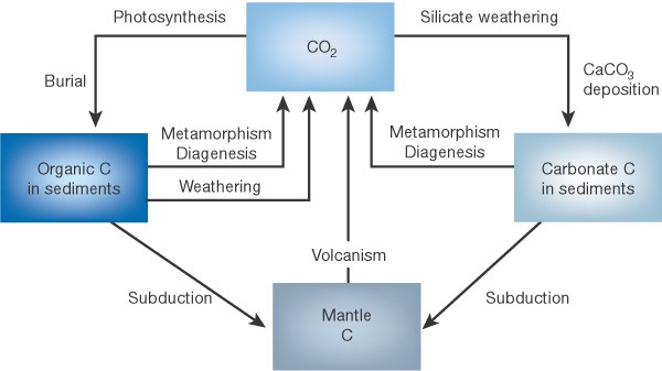 chemical weathering carbon dioxide diagram