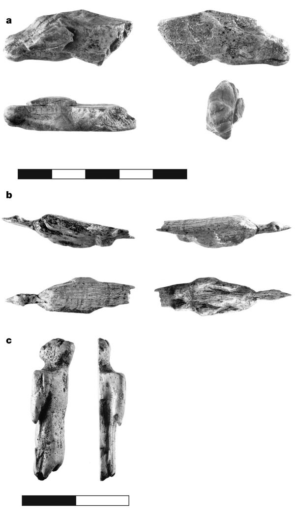 A 41,500 year-old decorated ivory pendant from Stajnia Cave (Poland)