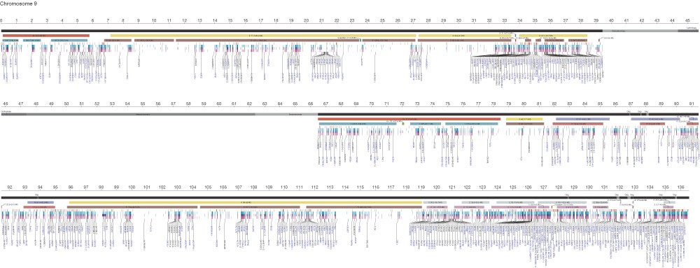DNA sequence and analysis of human chromosome 9 | Nature