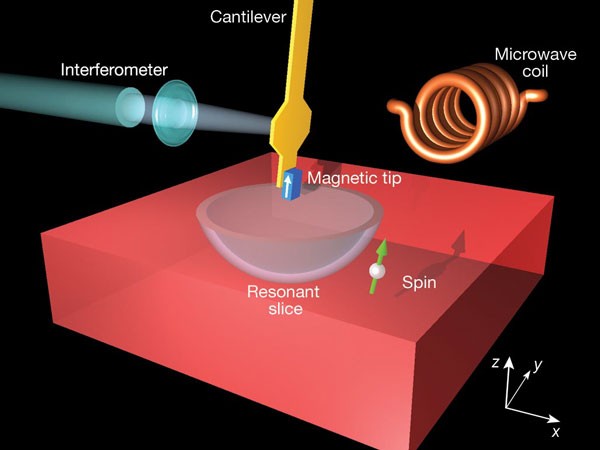 Single spin detection by magnetic resonance force microscopy | Nature