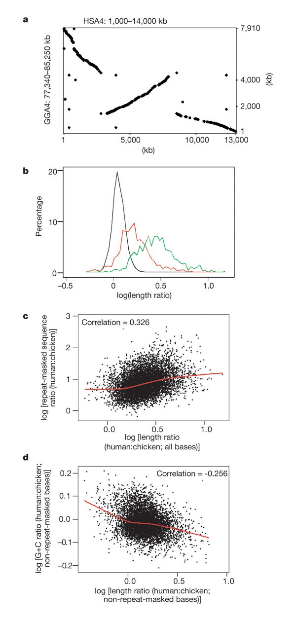 Figure 15: Variation in the ratio of lengths of human and chicken DNA in aligned segments.