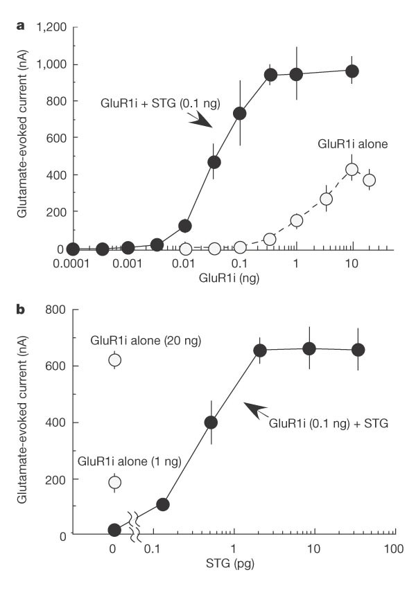 onions can cause heinz bodies reduced glutathione Severe hemolytic anemia with large Heinz bodies and ghost cells in a cat  after onion ingestion: a case report | Discover Animals