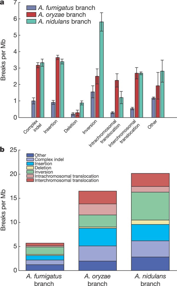 Figure 3: 
                        Rates of branch-specific rearrangements.
                      
