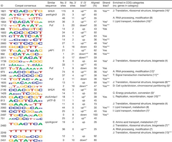 Figure 6: 
                        Selected conserved patterns.
                      
