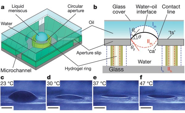 Adaptive liquid microlenses activated by stimuli-responsive hydrogels |  Nature