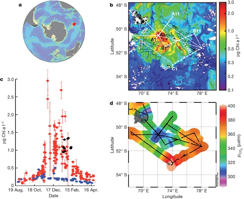 Effect Of Natural Iron Fertilization On Carbon Sequestration In The Southern Ocean Nature