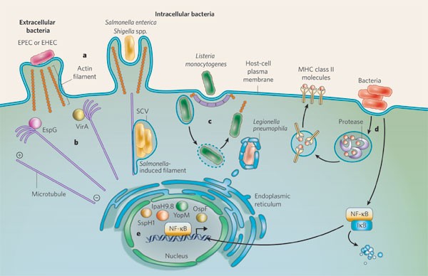 Pathogens, Free Full-Text