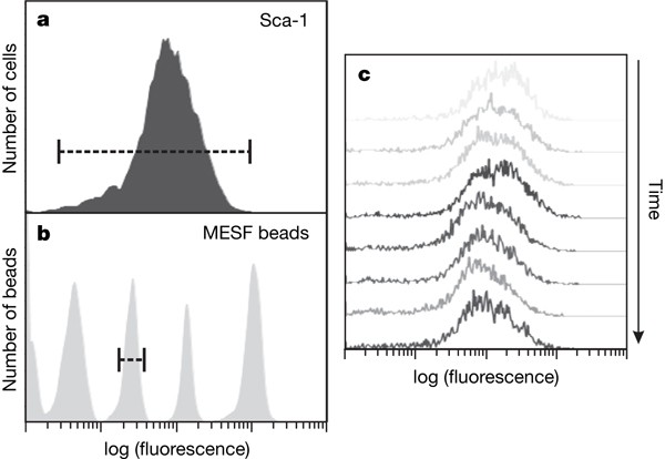 Transcriptome-wide noise controls lineage choice in mammalian progenitor  cells | Nature