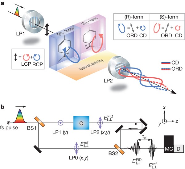 Femtosecond Characterization Of Vibrational Optical Activity Of Chiral Molecules Nature Femtosecond Characterization Of Vibrational Optical Activity Of Chiral Molecules Nature