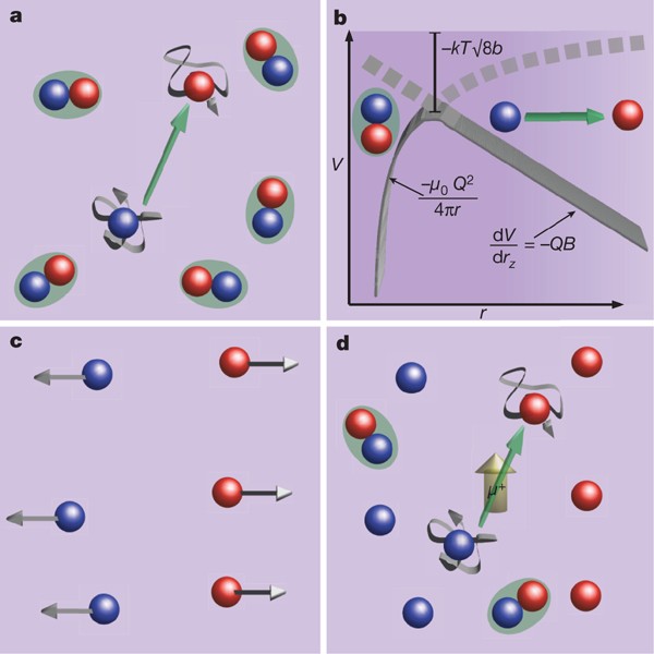 influenza Menagerry Citere Measurement of the charge and current of magnetic monopoles in spin ice |  Nature
