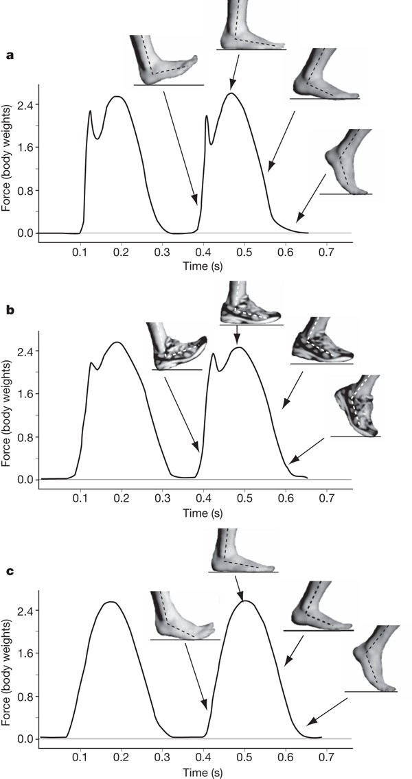 Foot strike patterns and collision forces in habitually barefoot versus  shod runners | Nature