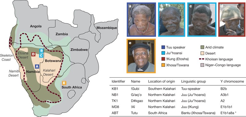 Click languages, Clicks, Khoisan, Bushmen