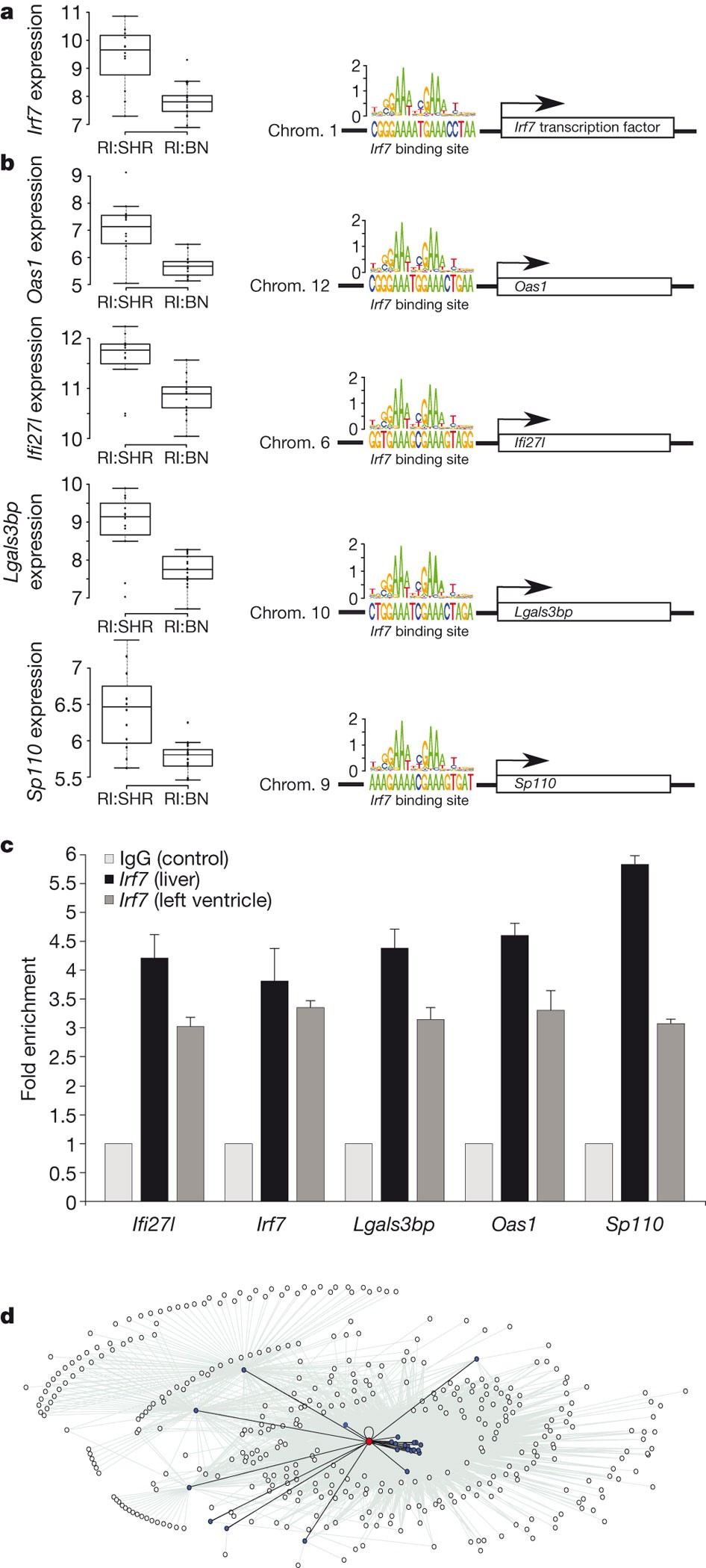 A trans-acting locus regulates an anti-viral expression network and type 1  diabetes risk