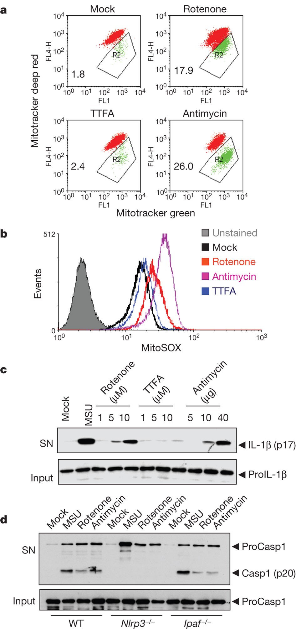 A Role For Mitochondria In Nlrp3 Inflammasome Activation Nature A Role For Mitochondria In Nlrp3 Inflammasome Activation Nature