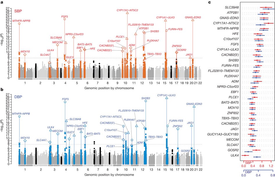 Genetic Variants In Novel Pathways Influence Blood Pressure