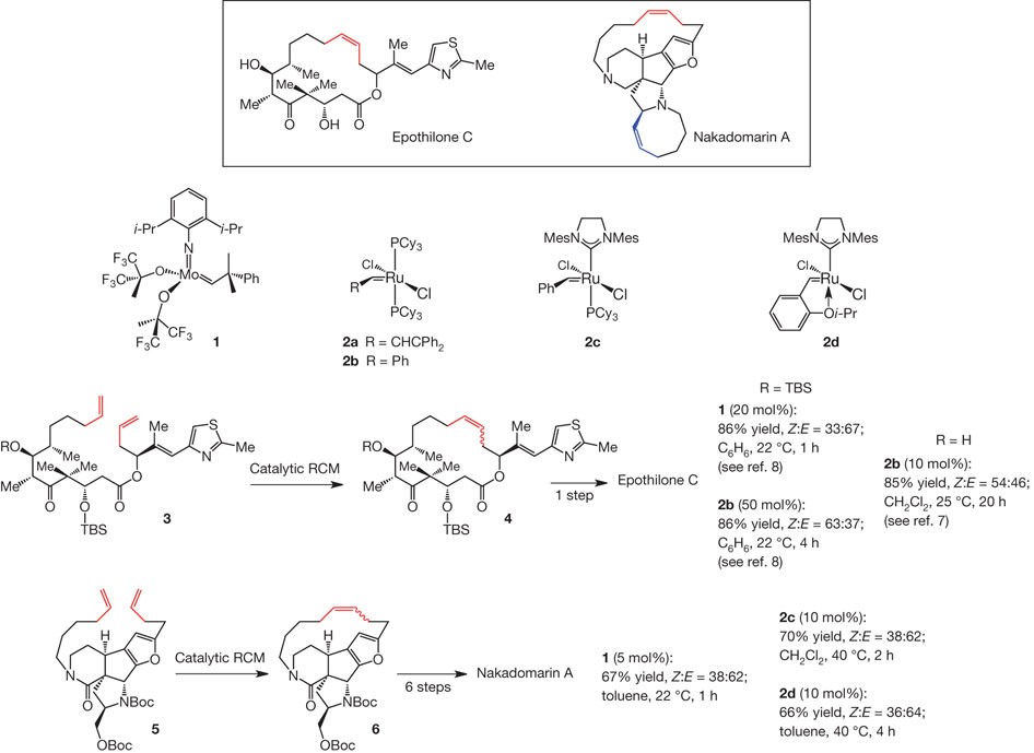 Olefin cross metathesis and ring-closing metathesis in polymer chemistry -  Polymer Chemistry (RSC Publishing) DOI:10.1039/C7PY00340D