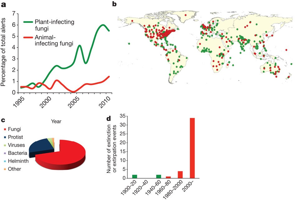 Emerging fungal threats to animal, plant and ecosystem health | Nature Emerging fungal threats to animal, plant and ecosystem health | Nature