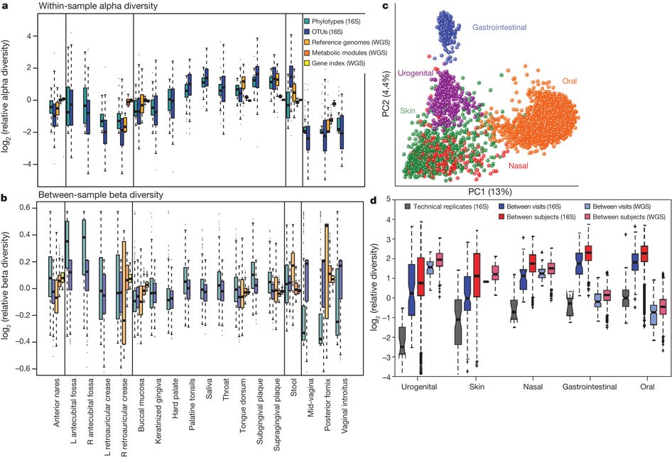 Structure Function And Diversity Of The Healthy Human