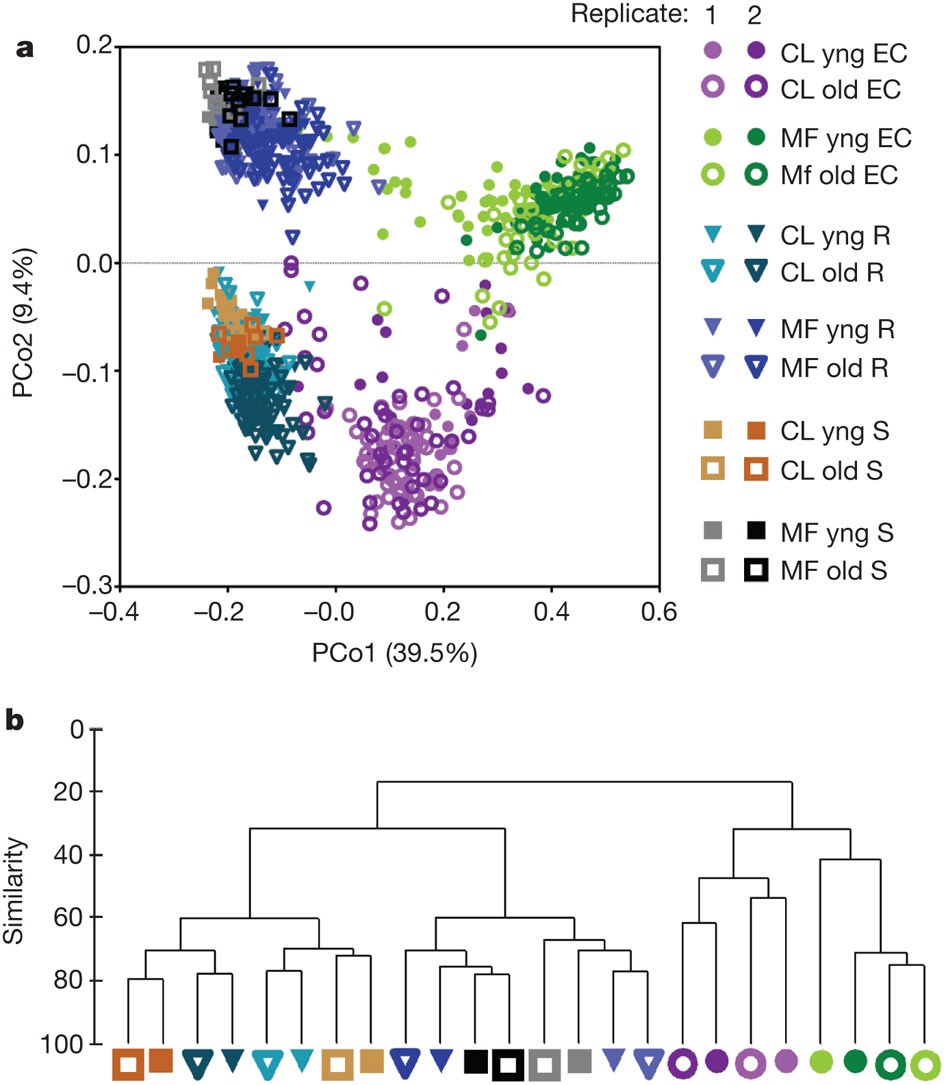 Er Analytisk flaskehals Defining the core Arabidopsis thaliana root microbiome | Nature