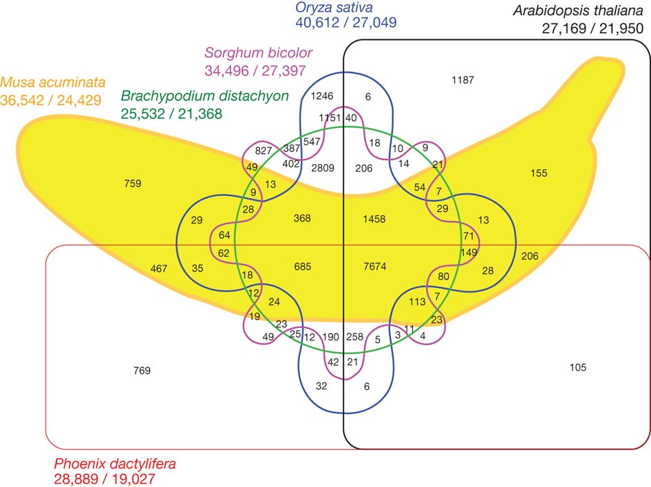 [This plot is bananas](https://youtu.be/gZHjRQjbHrE?t=152).  [Figure 4](https://www.nature.com/articles/nature11241/figures/4) of the [banana genome paper](https://www.nature.com/articles/nature11241) [@dhont].