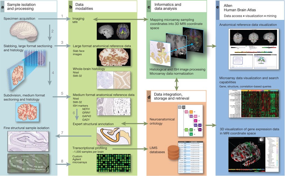 david allen best mind mapping software david allen best mind mapping software