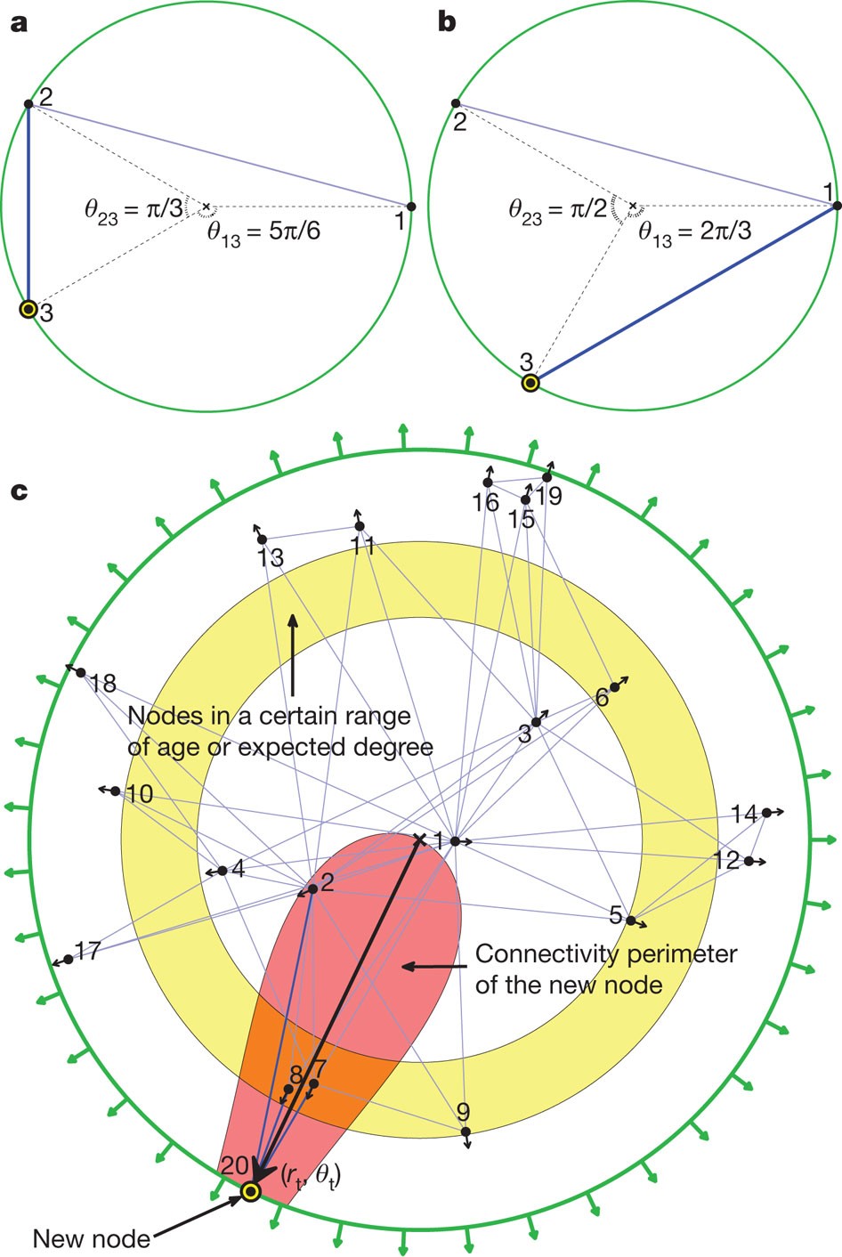 Popularity versus similarity in growing networks | Nature