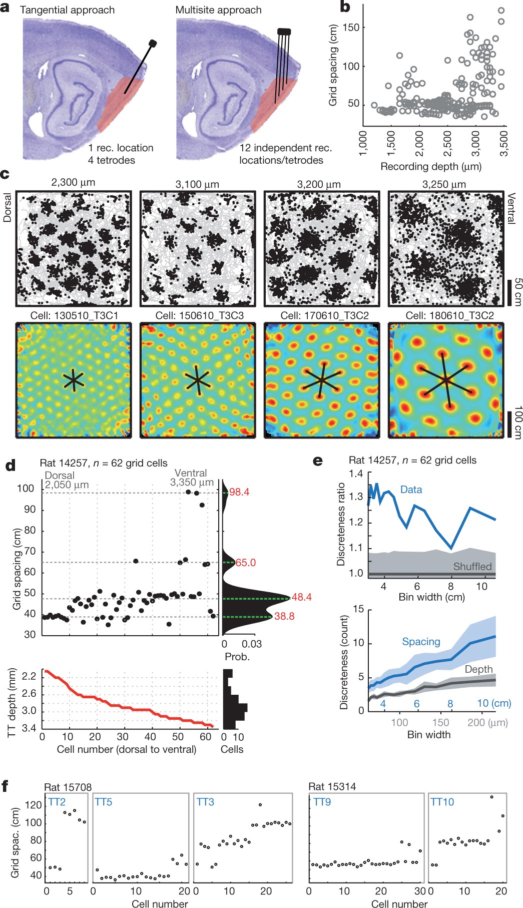 The entorhinal grid map is discretized | Nature
