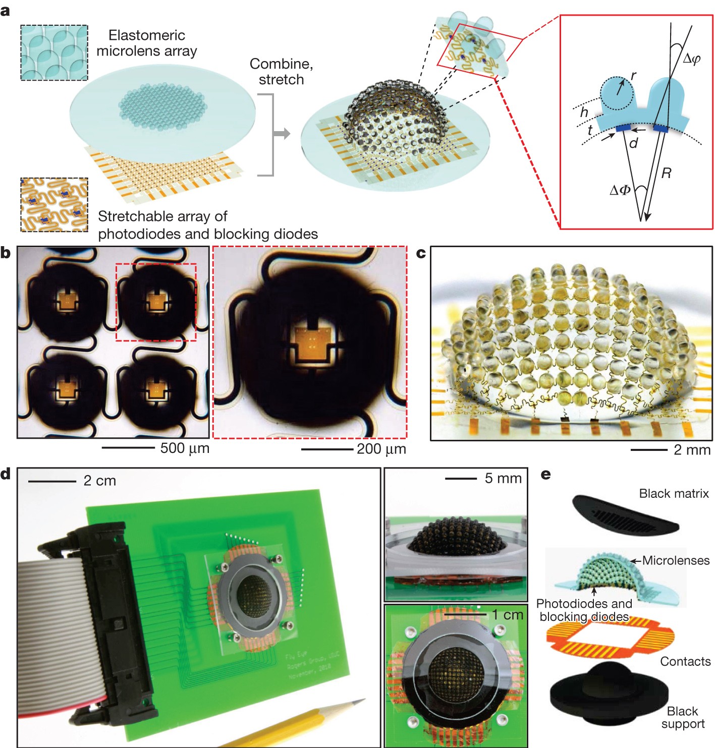 motion sensor nature camera