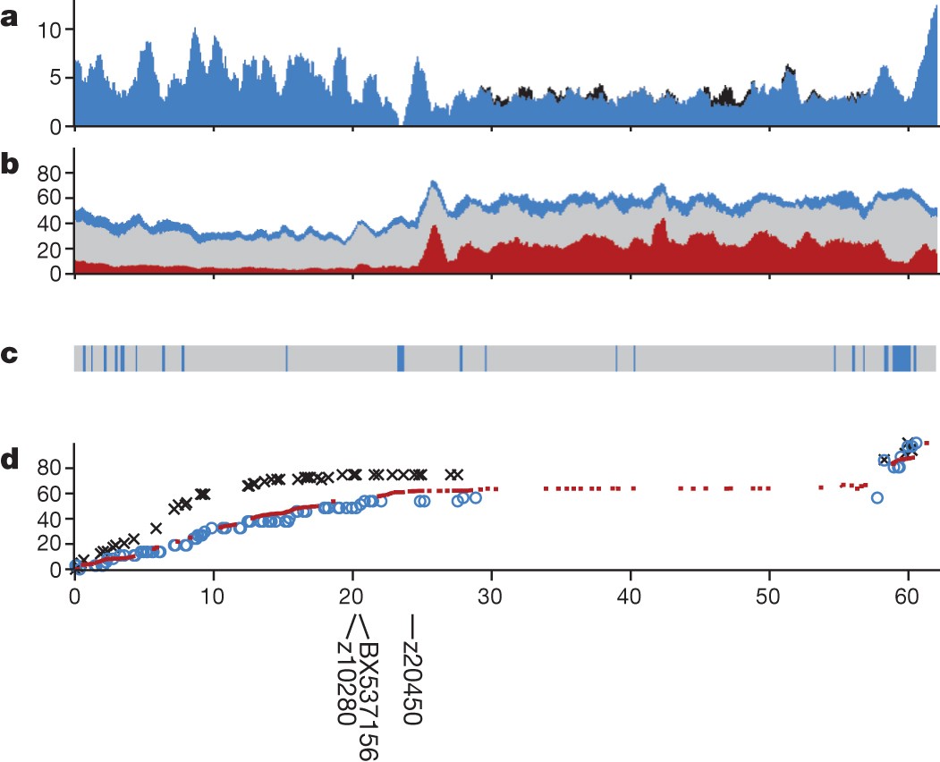 Figure 1: Landscape of chromosome 4.