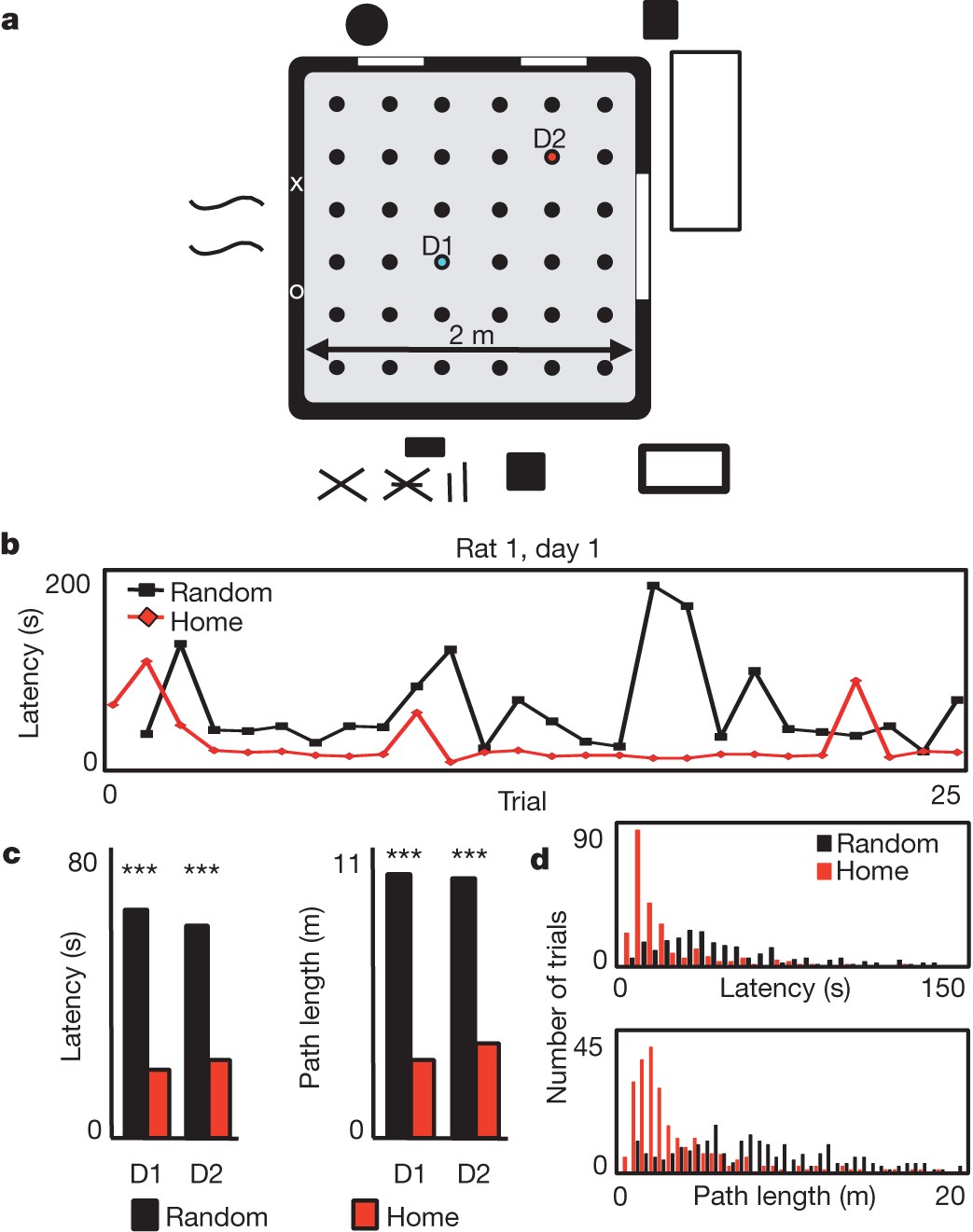 Hippocampal place-cell sequences depict future paths to remembered goals