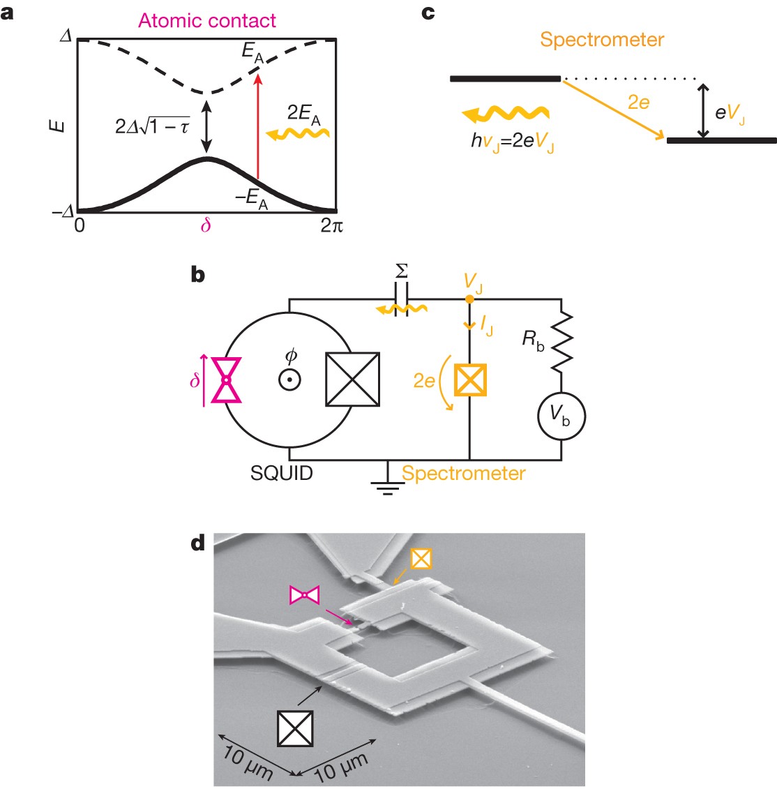 Exciting Andreev Pairs In A Superconducting Atomic Contact Nature