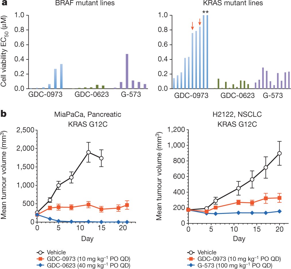 Mechanism of MEK inhibition determines efficacy in mutant KRAS- versus  BRAF-driven cancers
