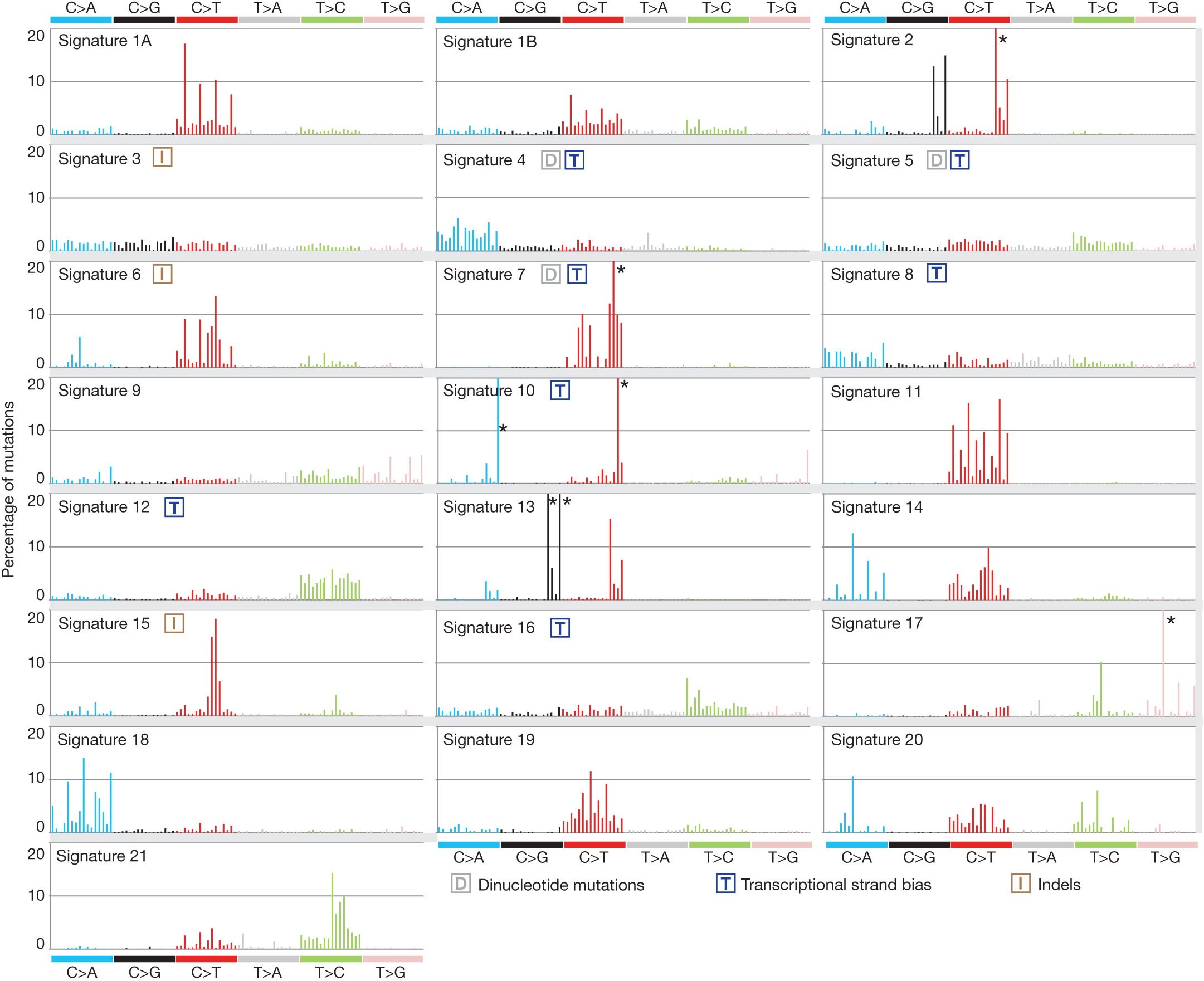 Figure 2: Validated mutational signatures found in human cancer.