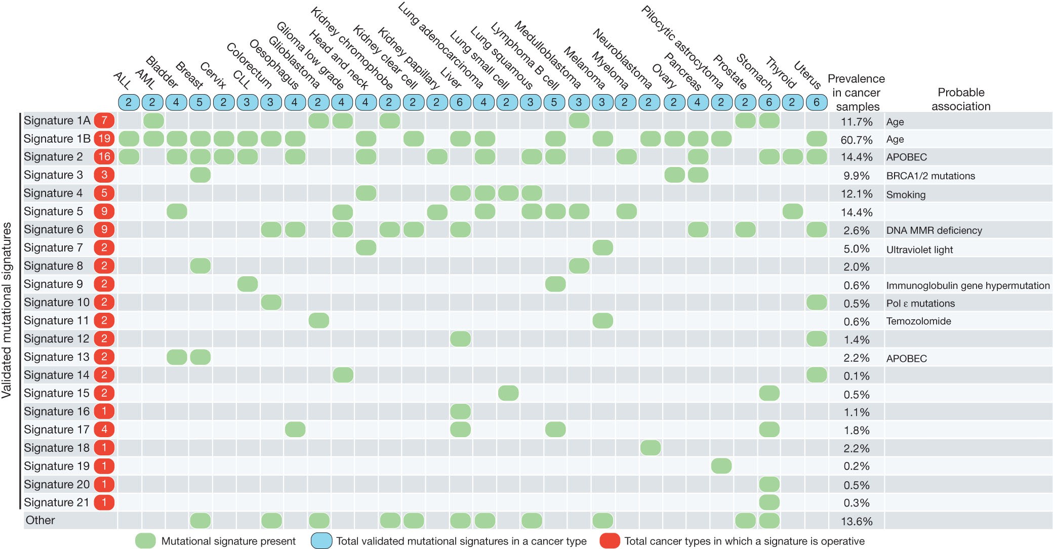 Figure 3: The presence of mutational signatures across human cancer types.