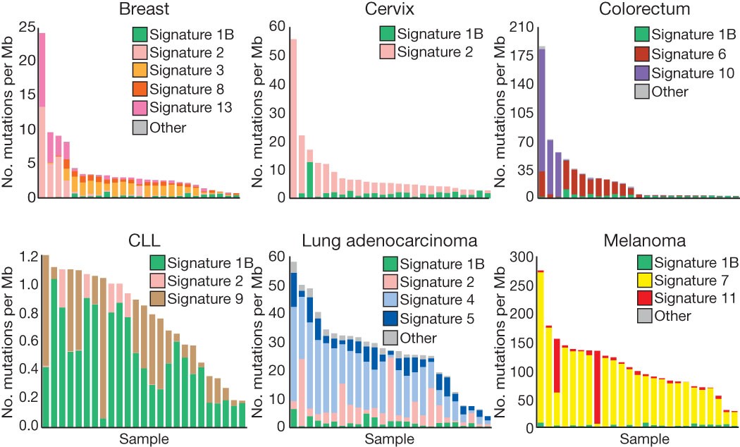 Figure 4: The contributions of mutational signatures to individual cancers of selected cancer types.