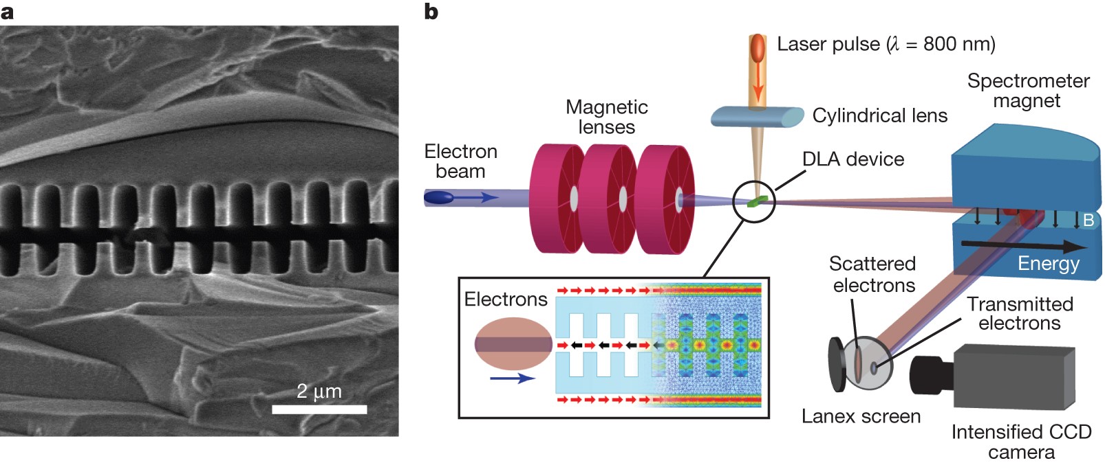 Demonstration of electron acceleration in a laser-driven dielectric  microstructure | Nature