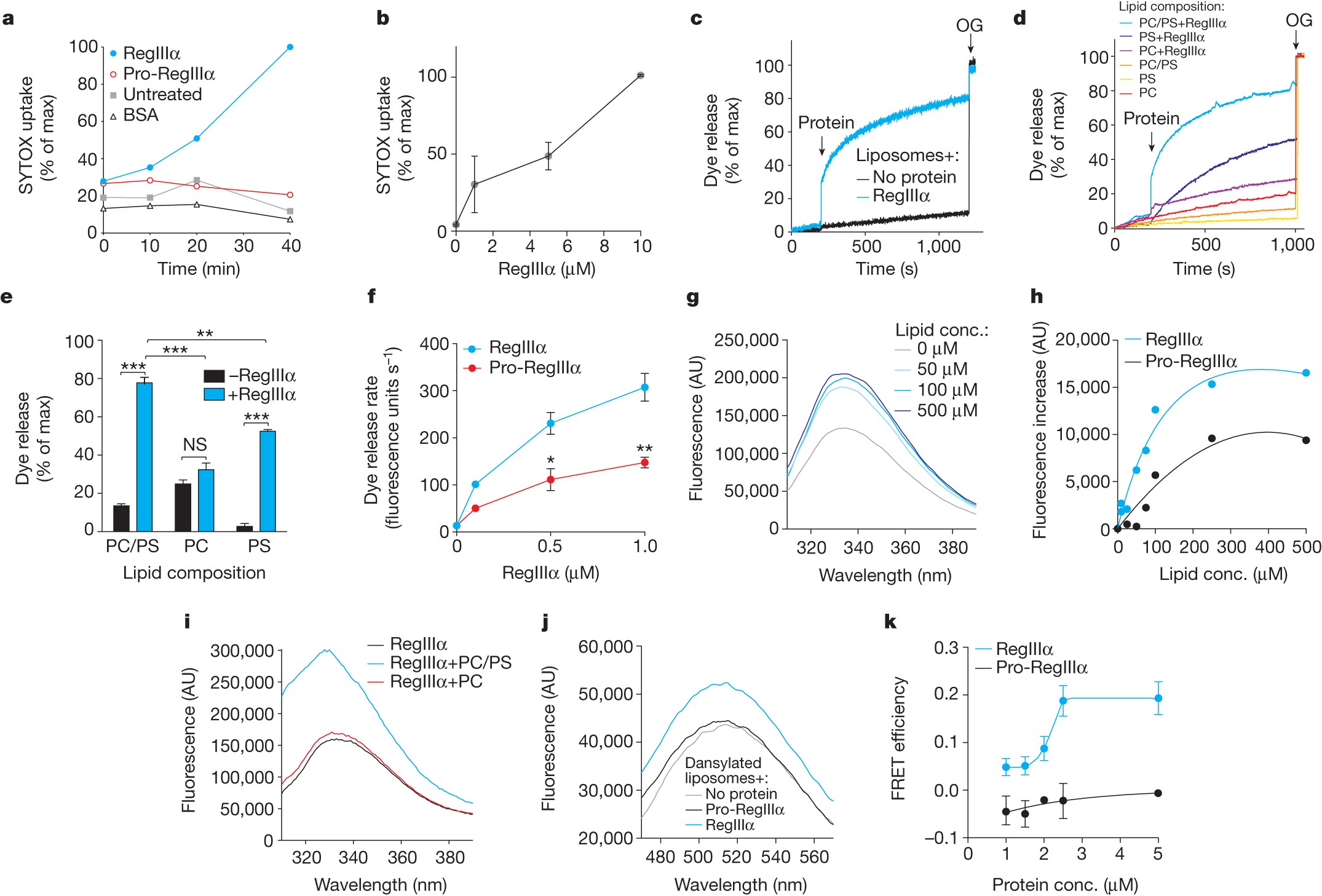 Antibacterial Membrane Attack By A Pore Forming Intestinal C Type Lectin Nature