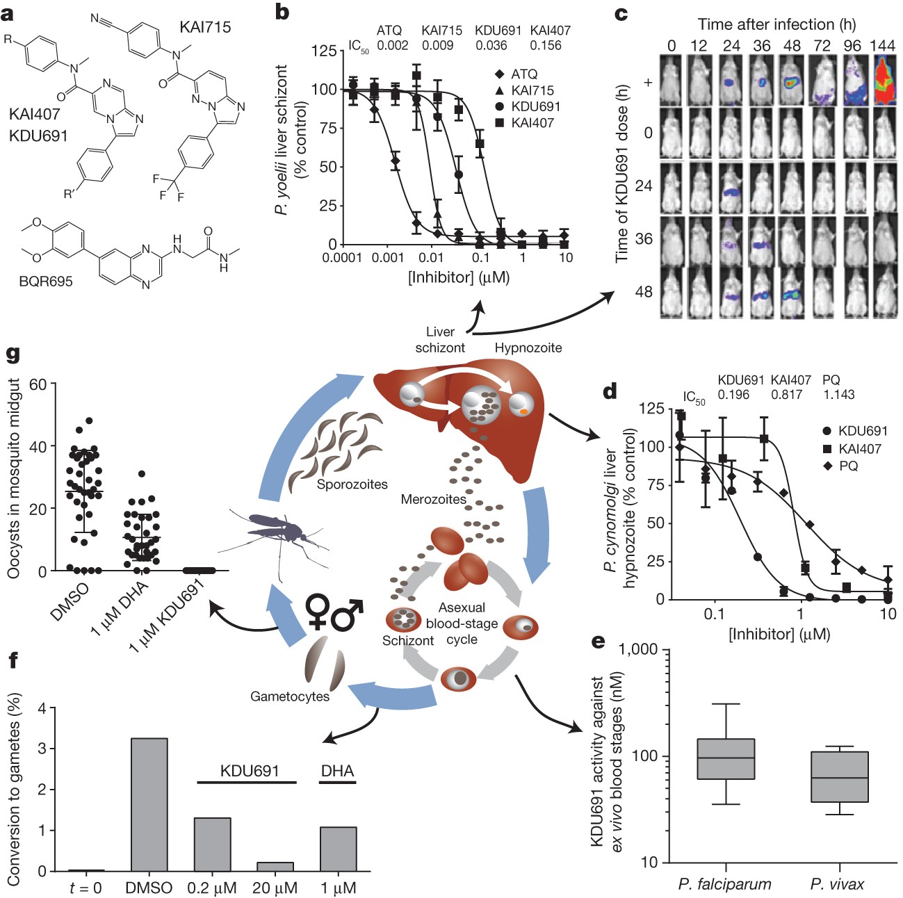 Targeting Plasmodium Pi 4 K To Eliminate Malaria Nature Targeting Plasmodium Pi 4 K To Eliminate Malaria Nature